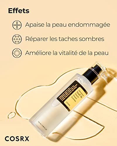 COSRX Advanced Snail 96 % Mucin Power Essence 100 ml | Feuchtigkeitsspendendes Serum mit Schneckenschleim-Mucin | Anti-Falten-Gesichtspflege gegen Akne und trockene Haut | Koreanische koreanische Hautpflege